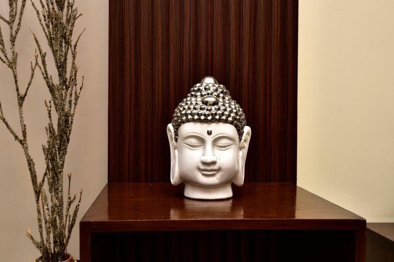 2bhk Comfortable Furnished Serviced In Hauz Khas - Woodpecker 3*